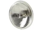 HELLA 1A3 002 850-031 Halogen-Insert, headlight - 12V