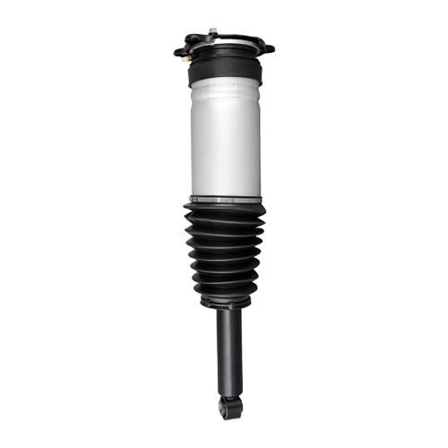 VAICO TESLA Shock Absorber V58-0284