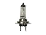 H7 474 24V 70W P26D Halogen