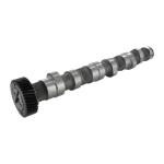 VAICO VW Camshaft V10-0868