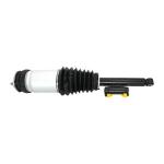 VEMO TESLA Air Suspension Strut V58-50-0011